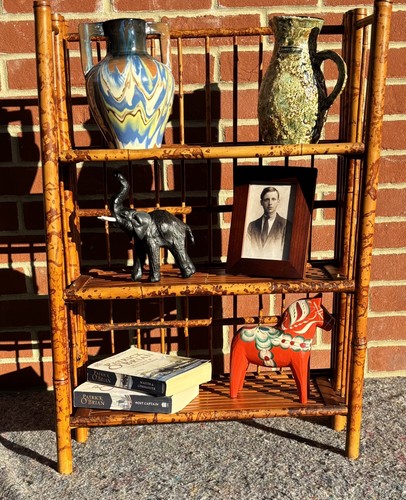 Vintage 1970s tiger bamboo - vintage,